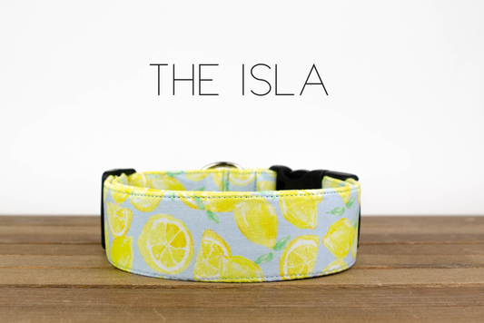 Isla Dog Collar