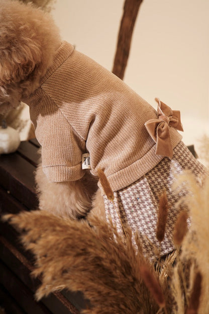 Toffee Sweater Dog Dress