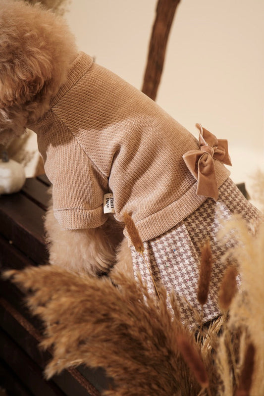 Toffee Sweater Dog Dress