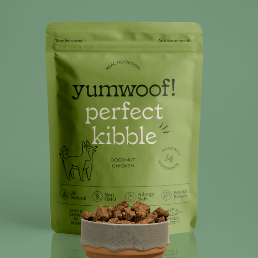 Perfect Kibble Air-Dried Dog Food - Coconut Chicken - Topper Size