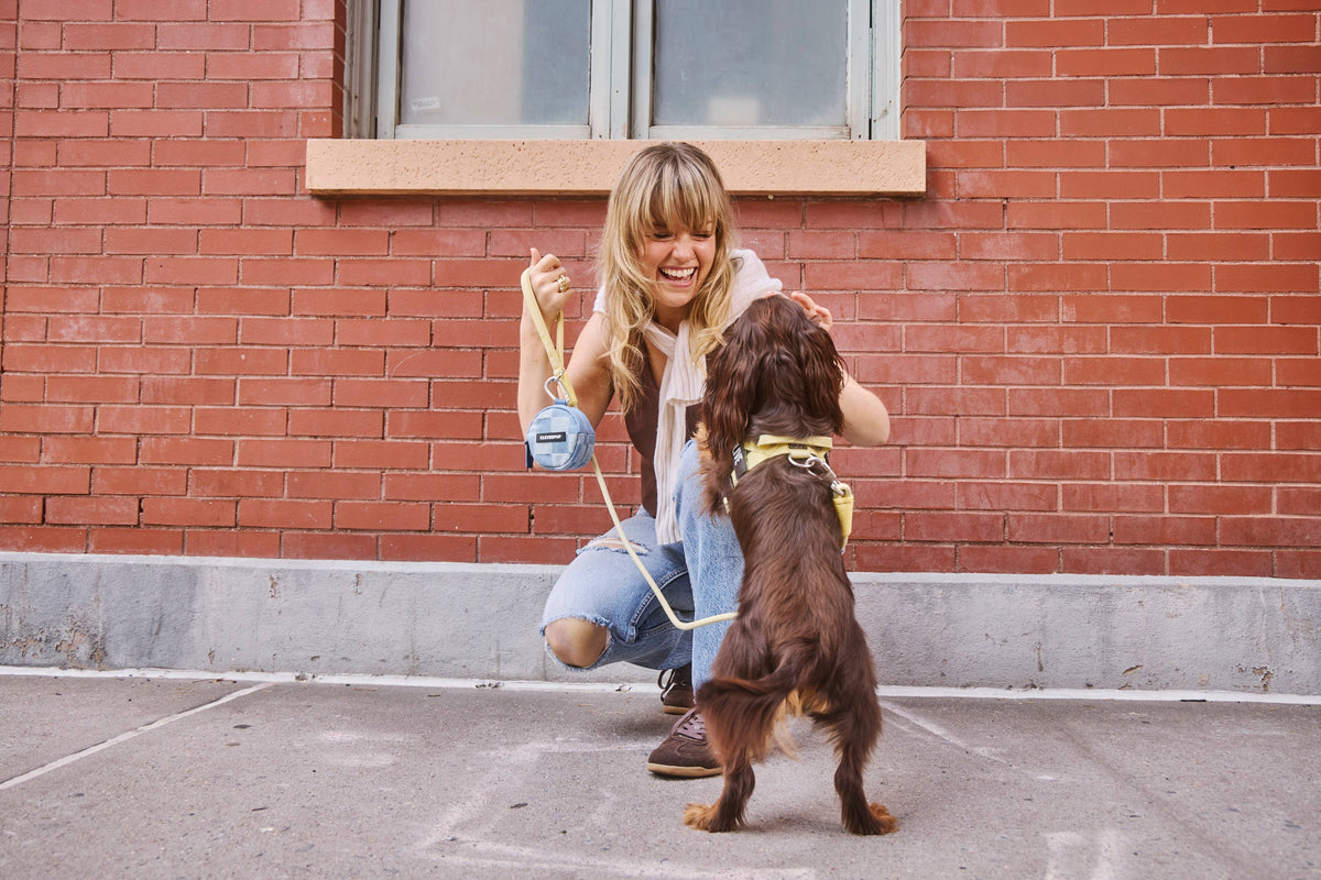 Denim Check Snackpack-Double Insulated Dog Treat Pouch