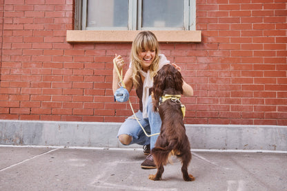Denim Check Snackpack-Double Insulated Dog Treat Pouch