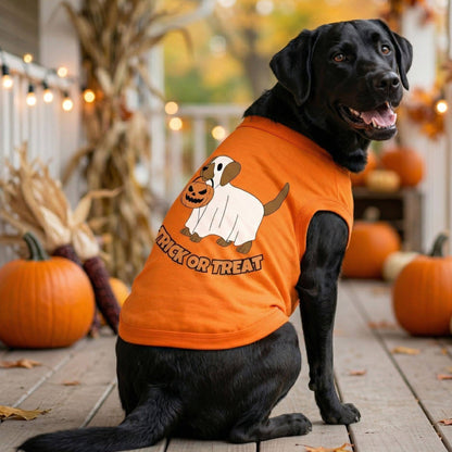 Trick or Treat Pup Dog Shirt - Sunset Orange
