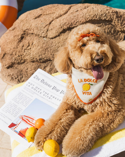 La Dolce Vita Dog Bandana