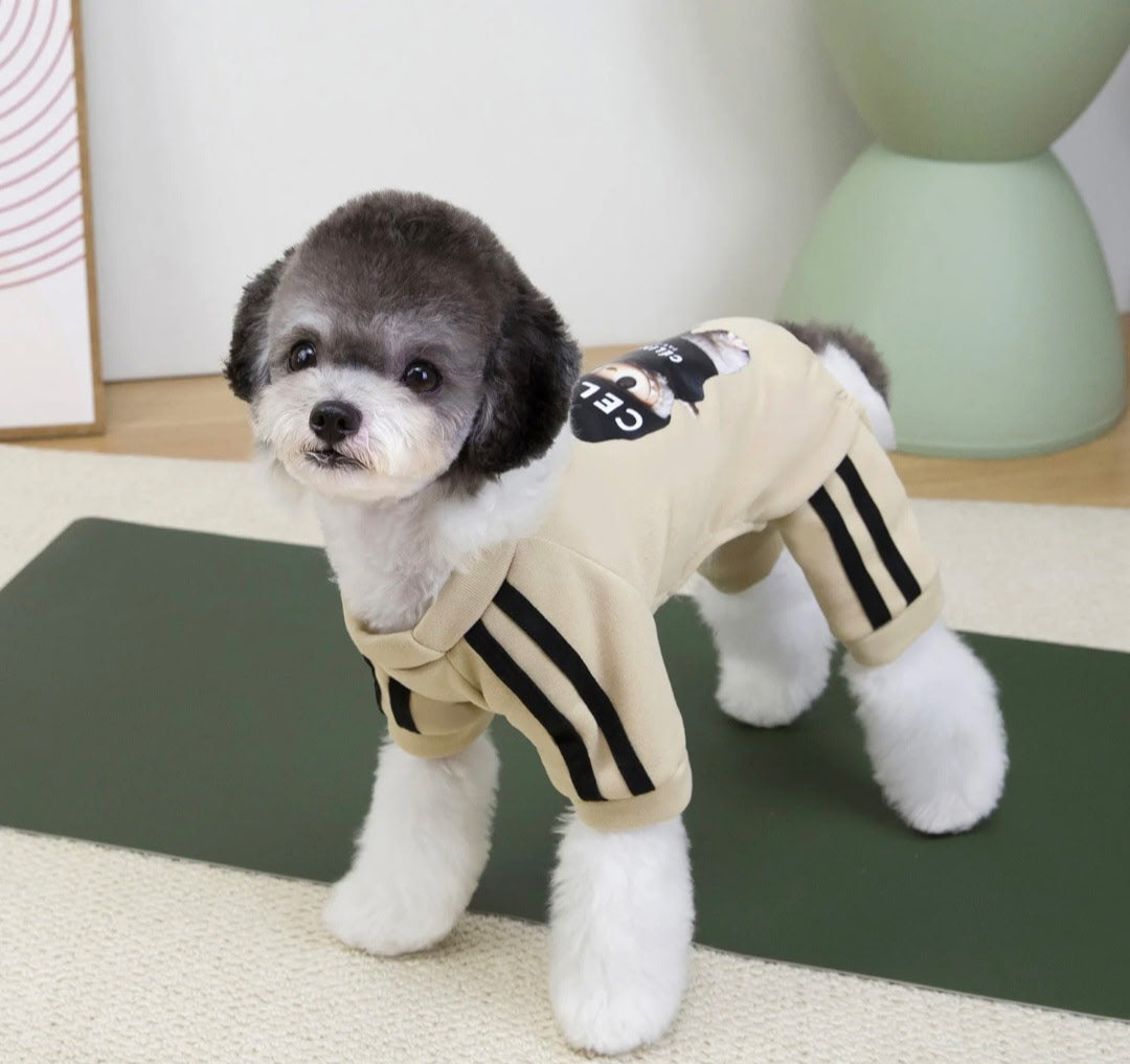 Labubu Dog Tracksuit