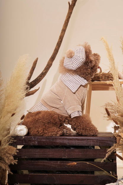 Toffee Sweater Dog Shirt