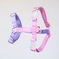 Adjustable Dog Harness - Assorted Colors