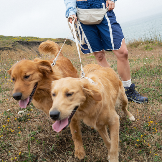 Hands-Free Dog Walking Bag + 4ft Leash