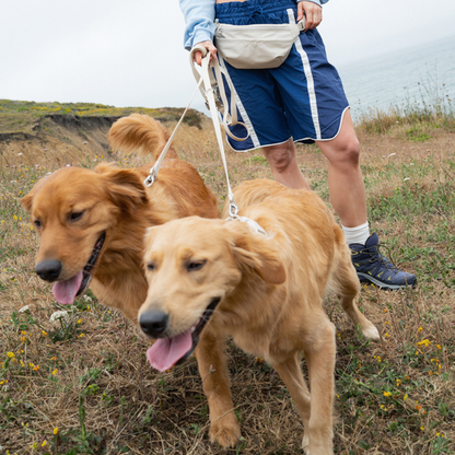 Hands-Free Dog Walking Bag + 4ft Leash