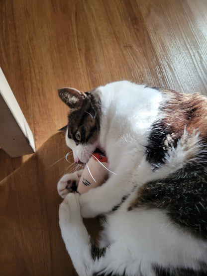 Bite my Finger Toy