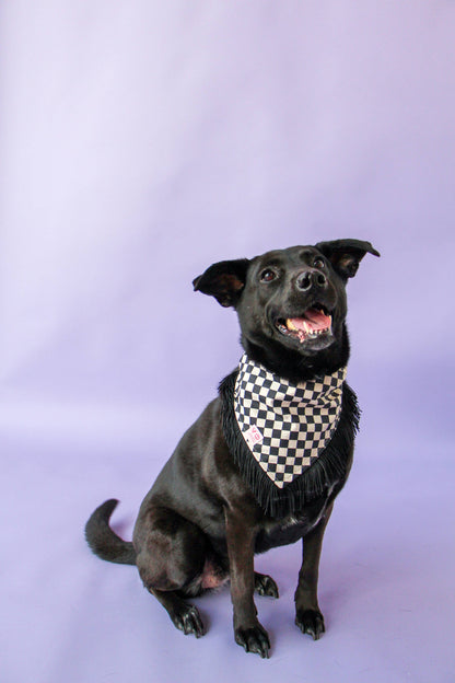Black & White Checker with Black Fringe Dog Bandana