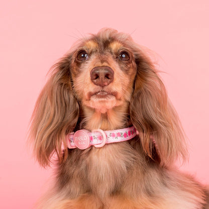 Vintage Rose Collar