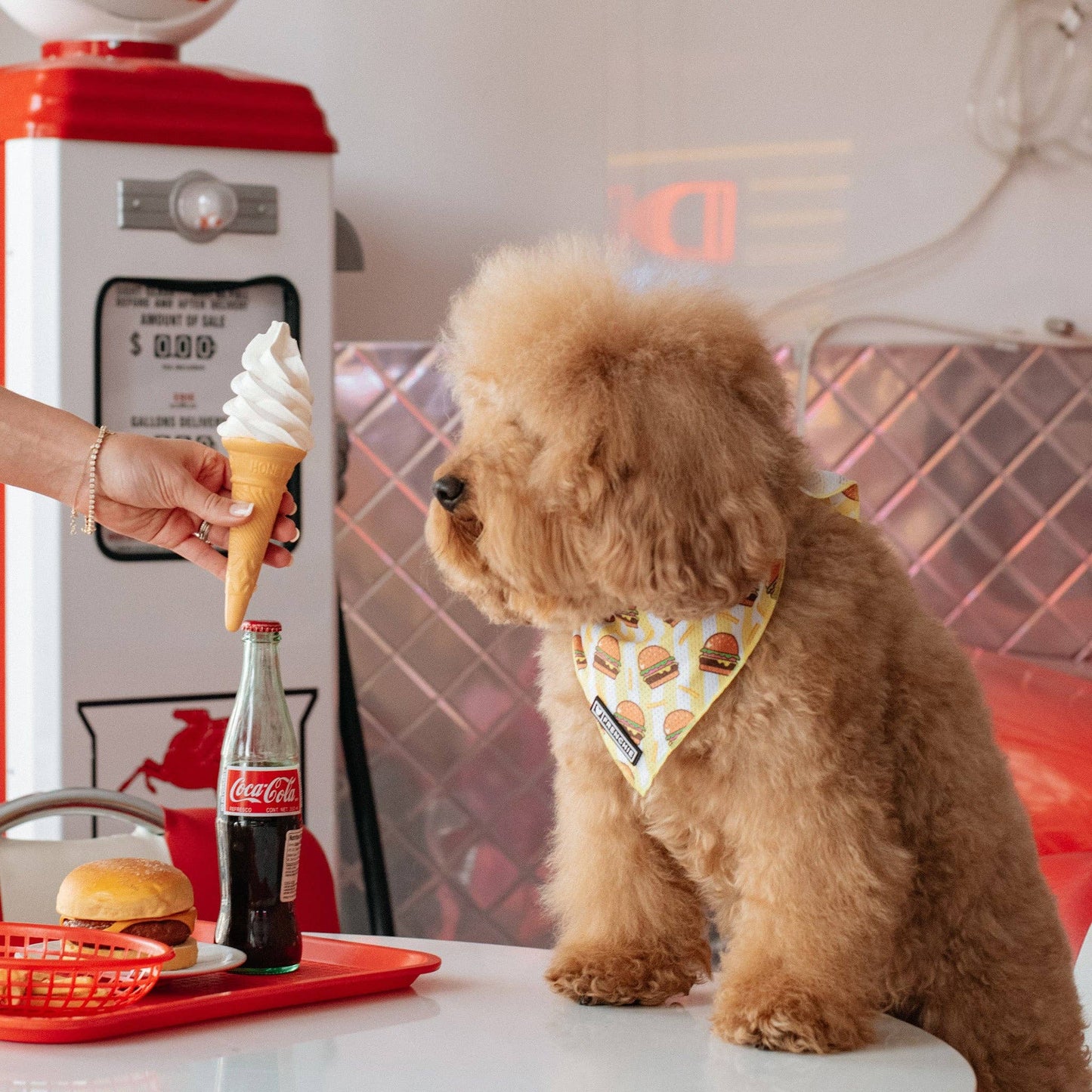 Frenchie Cooling Bandana - Burger