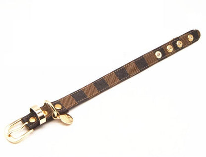 Amalfi Dog Collar