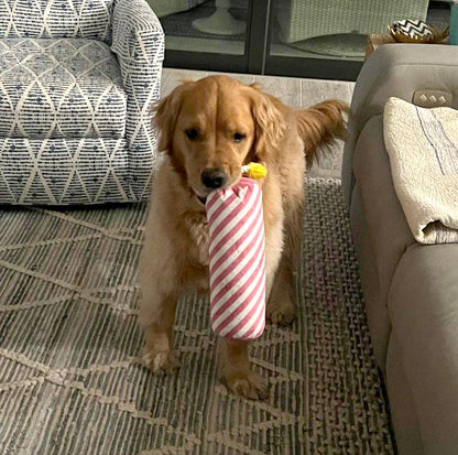 Birthday Candle Plush Dog Toy with Rope 16" - Assorted Colors
