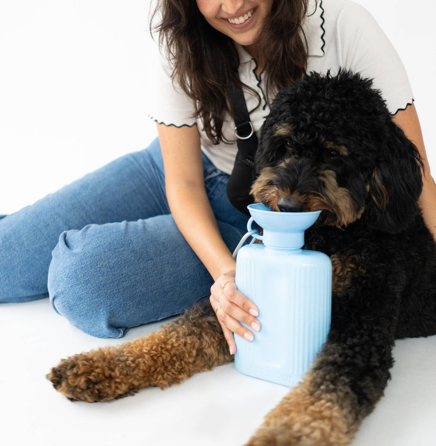 Springer Growler Dog Water Travel Bottle 44oz - Assorted Colors