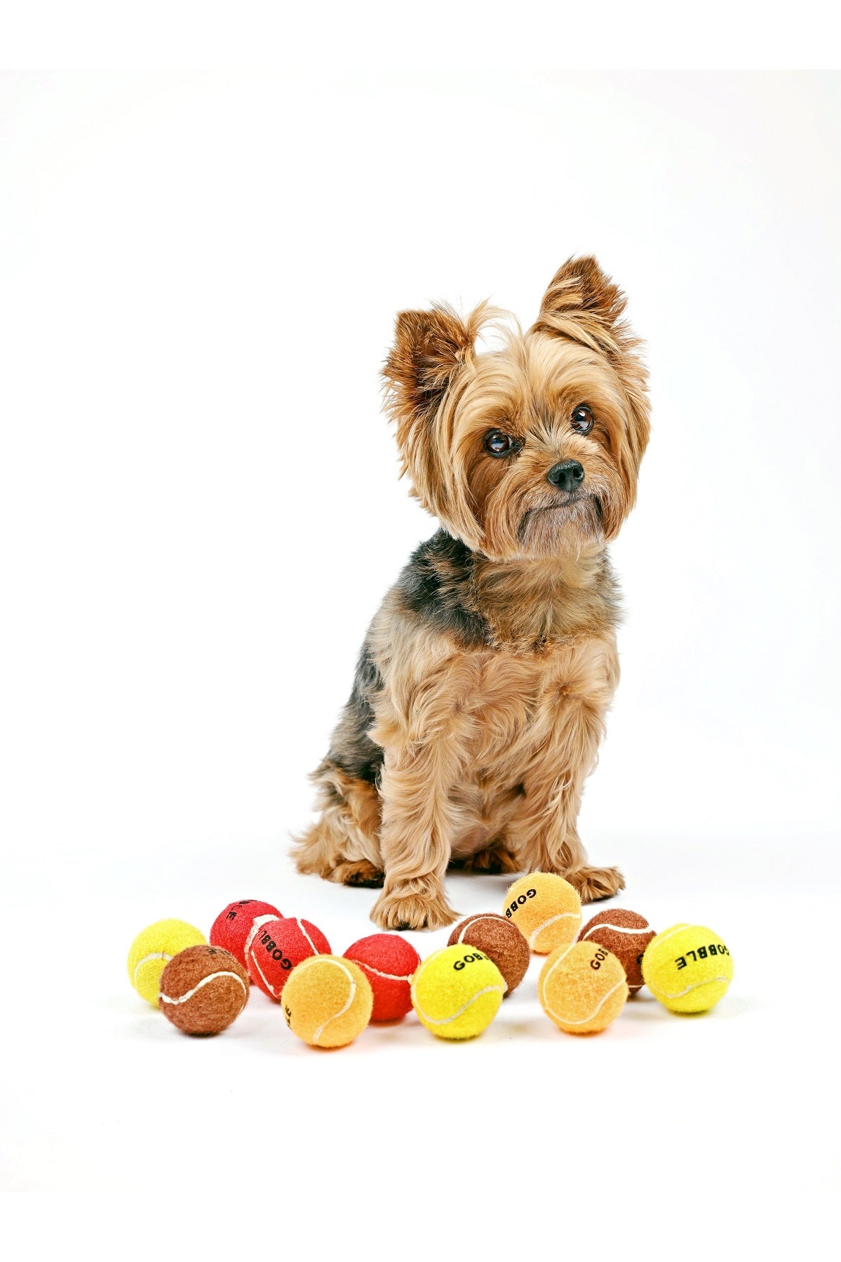 Thanksgiving Dog Tennis Balls - Mini