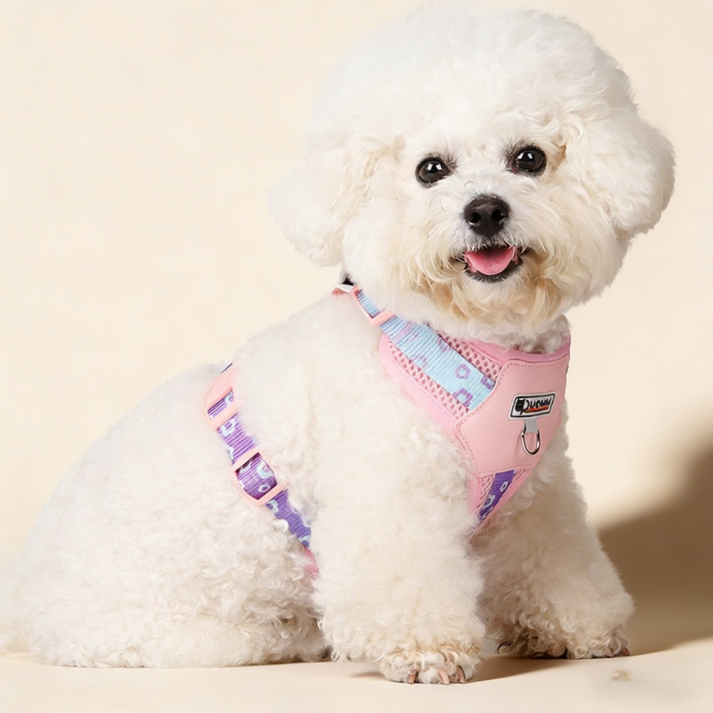 Stylish Dog Harness with Leather Back and Leash