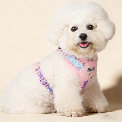 Stylish Dog Harness with Leather Back and Leash