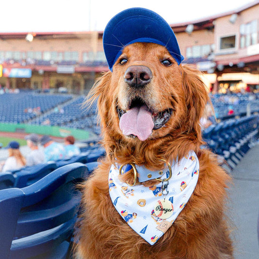 Home Run Club Teddy Baseball Bandana