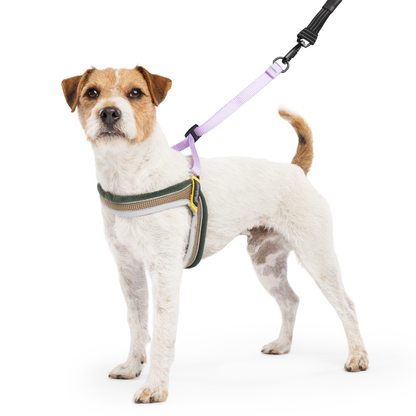 Featherweight Step-In Harness