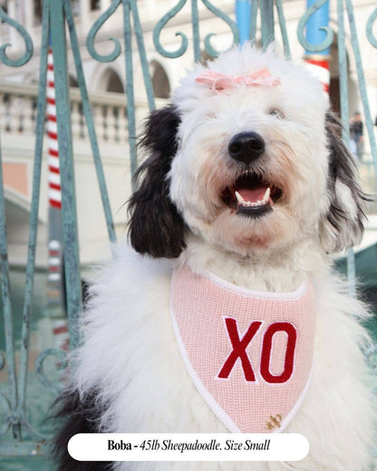 Bandana para perro con la frase "Love You Like XO" de San Valentín