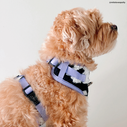 Far Out No-Pull Harness