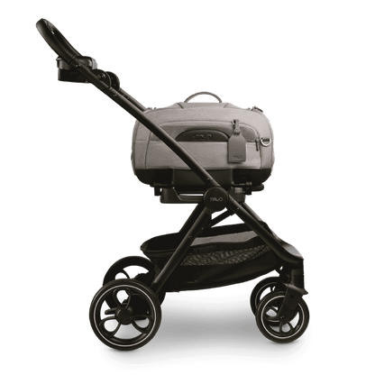 Tavo Dupree + Roscoe Pet Travel System