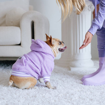 Frenchie Dog Hoodie - Purple Teddy