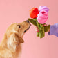 Juguete interactivo para perros con forma de ramo de rosas para el día de San Valentín