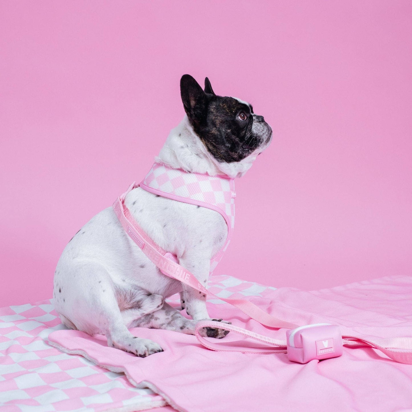 Frenchie Duo Reversible Harness - Pink Bubblegum