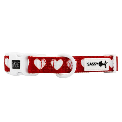 Little Love Dog Collar