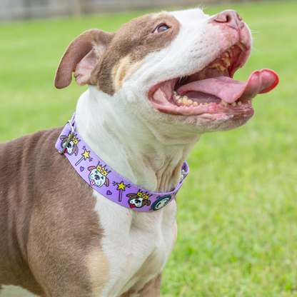Purple Princess Martingale Collar