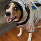 The Galactic Halloween Dog Costume