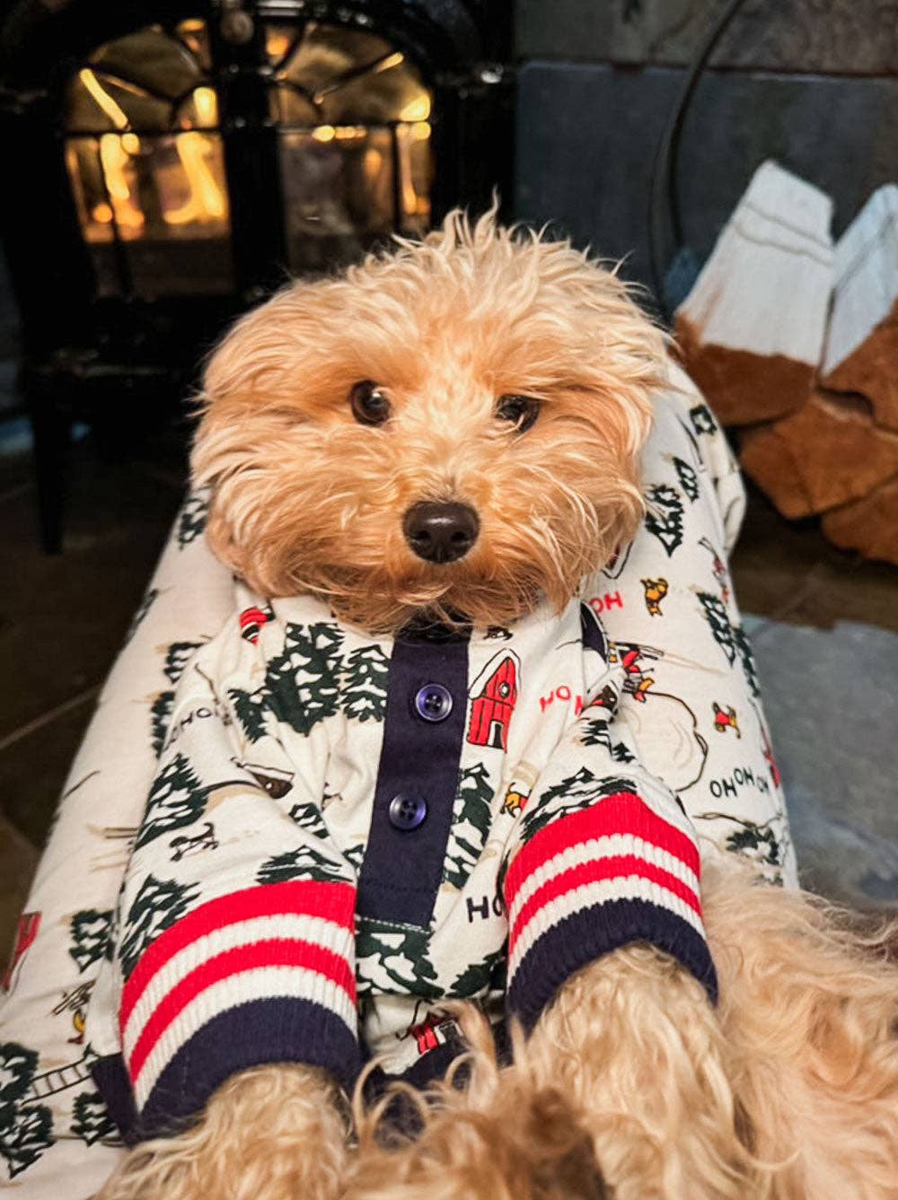 Where's Santa Dog Pajama