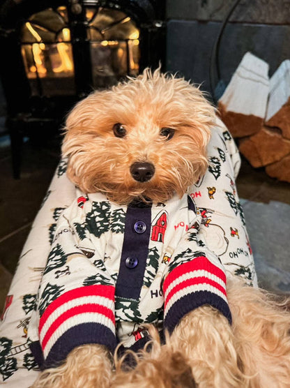 Where's Santa Dog Pajama