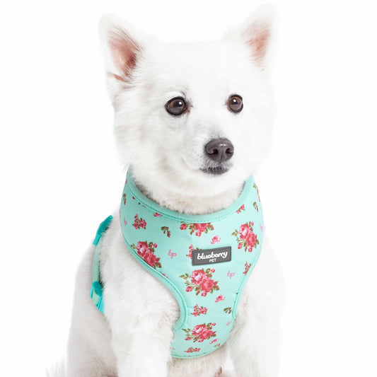 Petal Paws Floral Dog Harness Vest