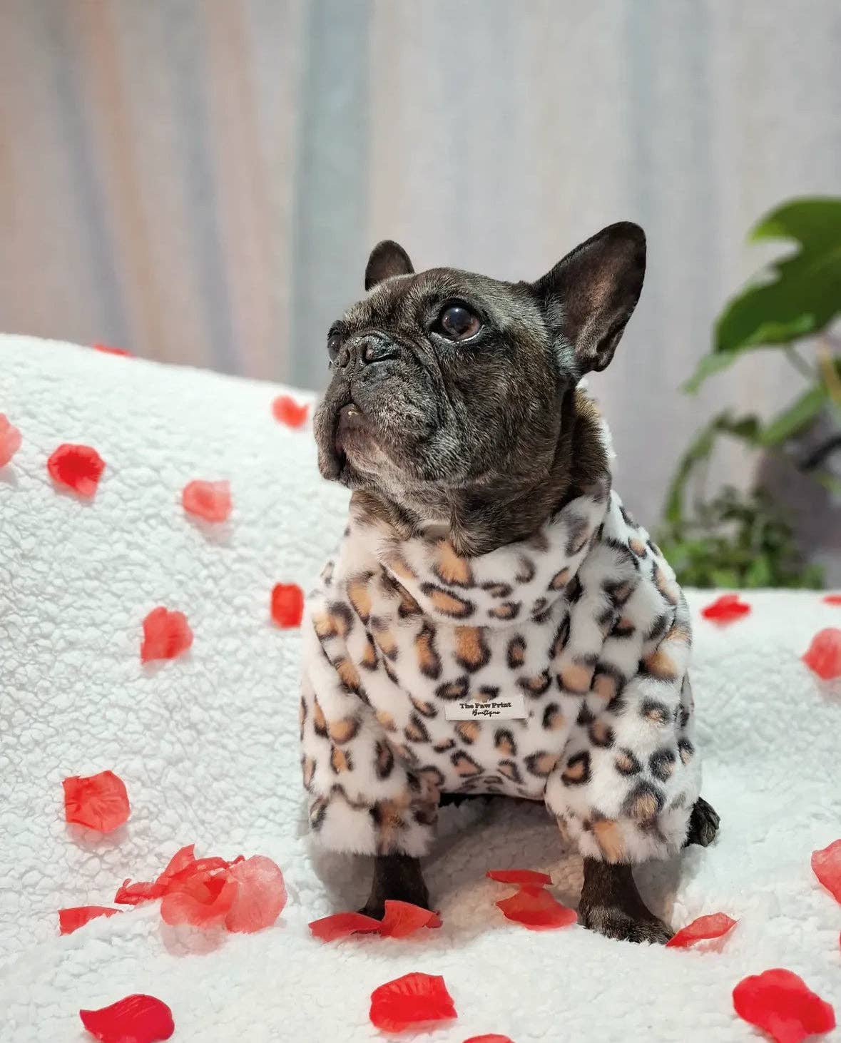 The Leopard Print Fluffy & Fabulous Fleece