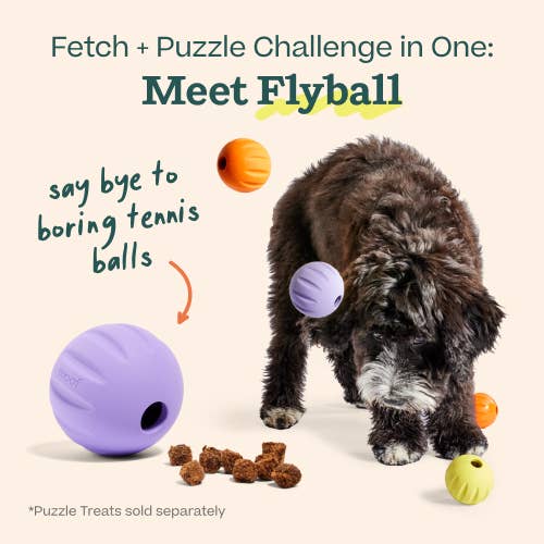FlyBall Enrichment Treat Dispenser 3 Pack