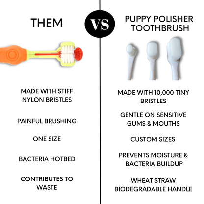 Cepillo de dientes Puppy Polisher Pearl Eco - Extra pequeño