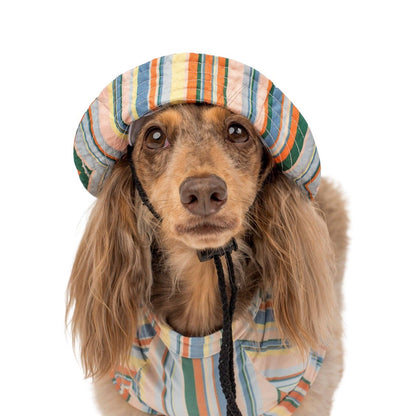 El perro refrescante Cabana Rashie