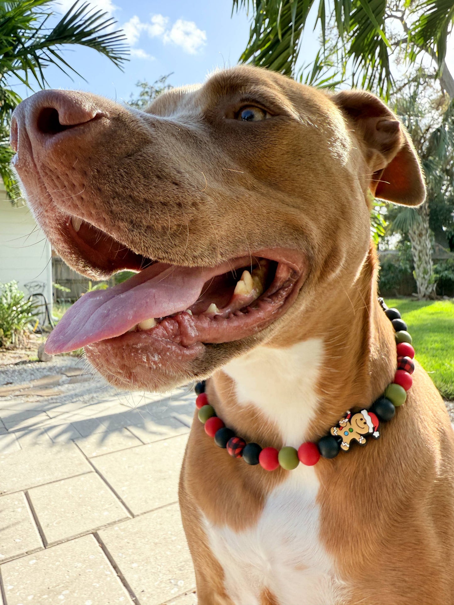 Gingerbread Man | Beaded Dog Collar