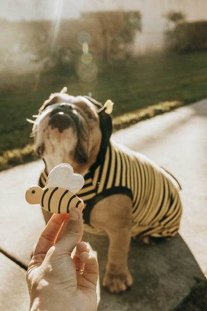 Bumble Bee Dog Cookies-6.5oz Bag