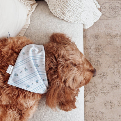 The Lilia Blue Floral Reversible Dog Bandana