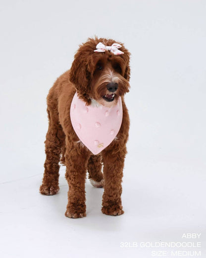 Magnolia Dog Bandana