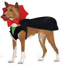 Count Woofula Halloween Dog Costume