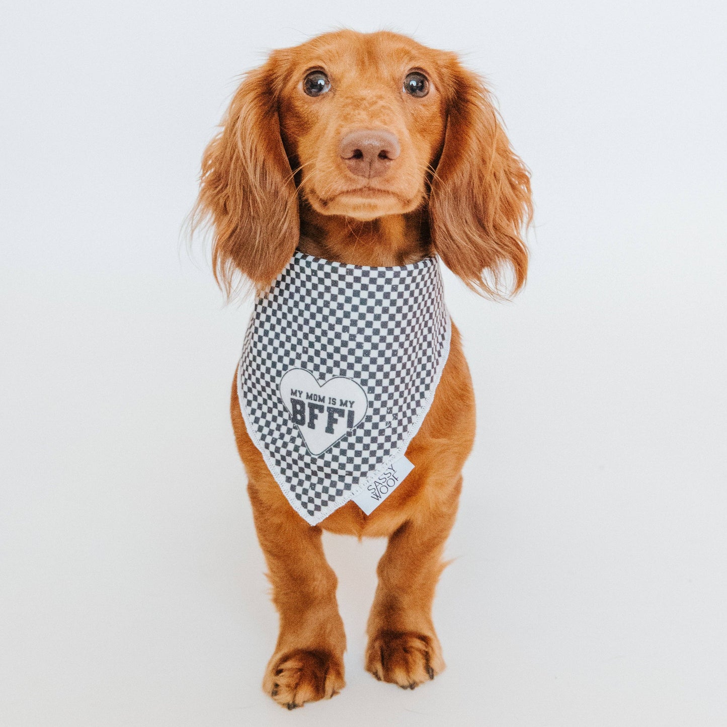 My Mom is my BFF Dog Bandana