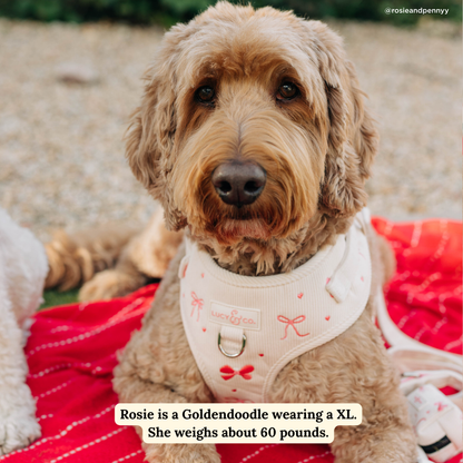 Ever So Sweet No-Pull Harness