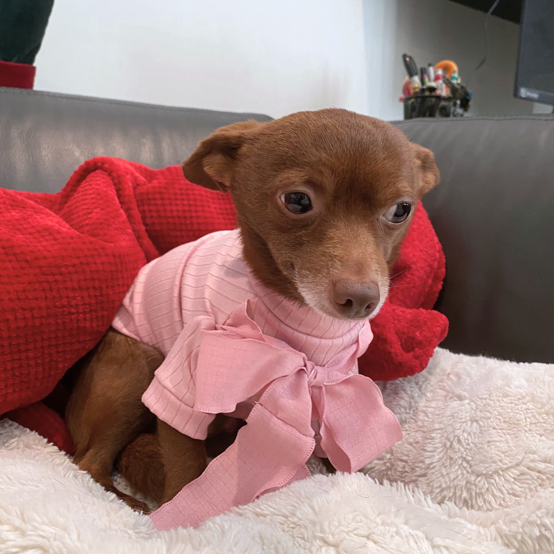 Pink Bow Dog Blouse