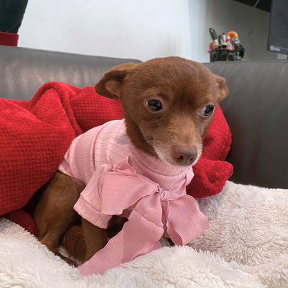 Pink Bow Dog Blouse